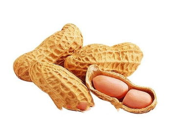 鎮賚花生 綠色食品的醇香饋贈