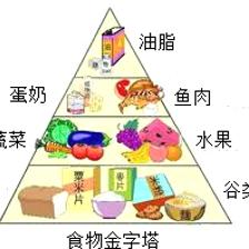 解析健康飲食結構 食物金字塔的營養奧秘